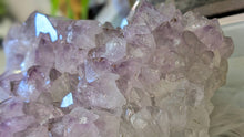 Load image into Gallery viewer, 11x5" Large Amethyst Crystal Cluster