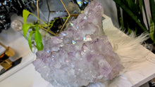 Load image into Gallery viewer, 11x5" Large Amethyst Crystal Cluster