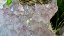 Load image into Gallery viewer, 11x5" Large Amethyst Crystal Cluster