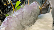 Load image into Gallery viewer, 11x5" Large Amethyst Crystal Cluster
