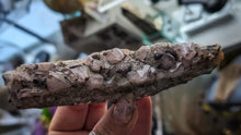 Load image into Gallery viewer, 5" Druzy Super 7 Amethyst Crystal Cluster