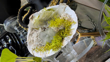 Load image into Gallery viewer, Amethyst, Selenite, Prasiolite, Crystals in Seashell (stand Included)
