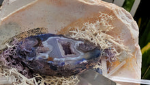 Load image into Gallery viewer, Selenite, Aura Quartz, Occo Geode in Moss Seashell (stand Included)
