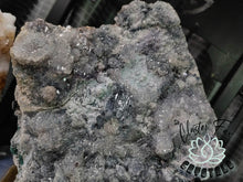 Load image into Gallery viewer, 11&quot; Flower Amethyst Crystal Cluster on Stand
