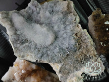 Load image into Gallery viewer, 12&quot; Flower Amethyst Crystal Cluster on Stand
