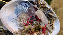 Load image into Gallery viewer, Amethyst, Tourmaline, Selenite Crystals &amp; Artificial Moss in Seashell (stand Included)
