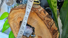 Load image into Gallery viewer, Wood Decor with Amethyst Crystal in Middle
