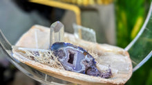 Load image into Gallery viewer, Selenite, Aura Quartz, Occo Geode in Moss Seashell (stand Included)
