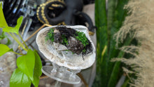 Load image into Gallery viewer, Smokey Amethyst, Selenite Crystal &amp; Artificial Moss in Seashell (stand Included)
