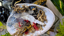 Load image into Gallery viewer, Amethyst, Tourmaline, Selenite Crystals &amp; Artificial Moss in Seashell (stand Included)
