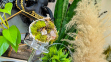 Load image into Gallery viewer, Quartz Crystal, Selenite &amp; Artificial Moss in Seashell (stand Included)
