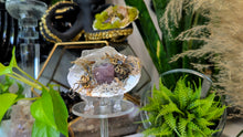 Load image into Gallery viewer, Amethyst, Selenite Crystals &amp; Artificial Moss in Seashell (stand Included)
