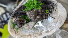 Load image into Gallery viewer, Smokey Amethyst, Selenite Crystal &amp; Artificial Moss in Seashell (stand Included)
