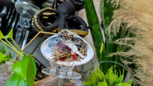 Load image into Gallery viewer, Amethyst, Tourmaline, Selenite Crystals &amp; Artificial Moss in Seashell (stand Included)
