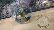 Artificial Moss & Crystal Healing Hanging Sphere