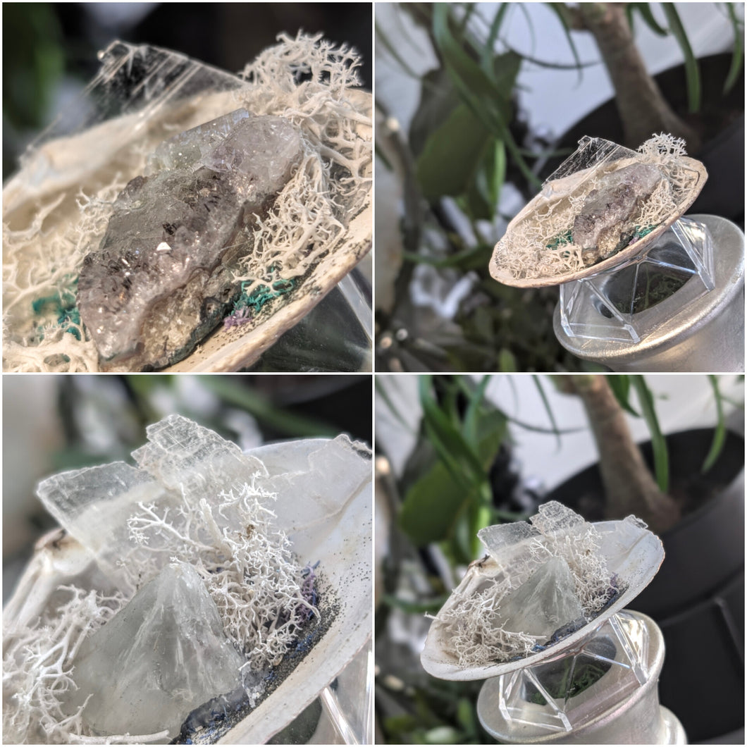 Amethyst, Selenite, Prasiolite, Crystals in Seashells 2pcs