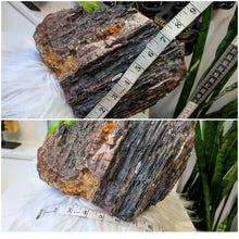 Load image into Gallery viewer, 8x7" Large Tourmaline &amp; Mica Mineral Cluster
