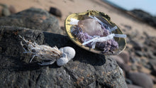 Load image into Gallery viewer, Amethyst Quart Selenite Crystal &amp; Artificial Moss in Seashell
