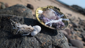 Amethyst Quart Selenite Crystal & Artificial Moss in Seashell