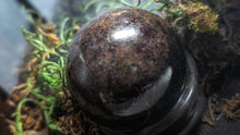 Load image into Gallery viewer, 2&quot; Red Garnet Sphere w/Selenite Charging Wands in Wood Display Case
