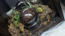 Load image into Gallery viewer, 2&quot; Red Garnet Sphere w/Selenite Charging Wands in Wood Display Case
