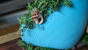Handmade East Coast Seashell Ocean Beach Vibes Table Sign