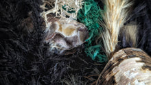 Load image into Gallery viewer, Occo Geode Pampas Seashell Canvas Beach Ocean Art
