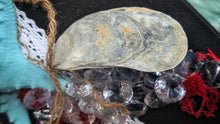Load image into Gallery viewer, Coastal Seashell Canvas Beach Ocean Art

