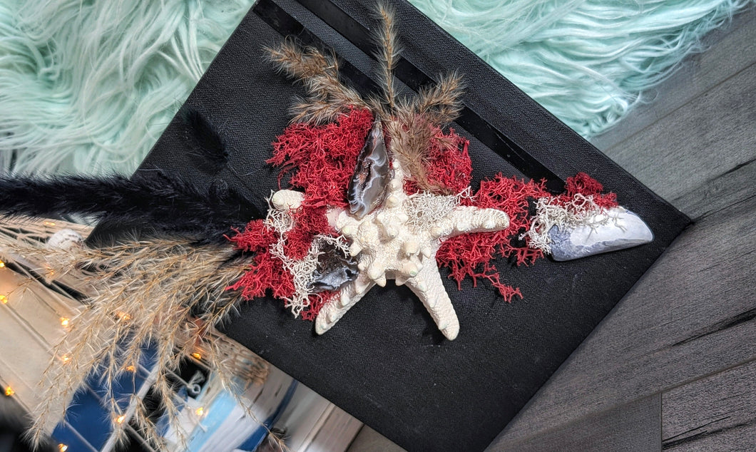 Occo Geode Pampas Seashell Canvas Beach Ocean Art