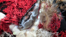 Load image into Gallery viewer, Occo Geode Pampas Seashell Canvas Beach Ocean Art
