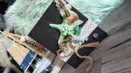 Coastal Seashell Canvas Beach Ocean Art