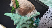 Load image into Gallery viewer, Coastal Seashell Canvas Beach Ocean Art
