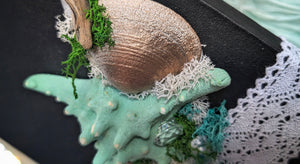 Coastal Seashell Canvas Beach Ocean Art