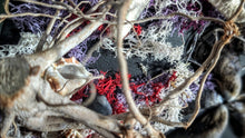 Load image into Gallery viewer, Coastal Seashell Canvas Beach Ocean Art
