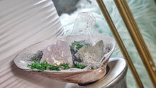 Load image into Gallery viewer, Angel Aura Quart Selenite Crystal &amp; Artificial Moss in Seashell
