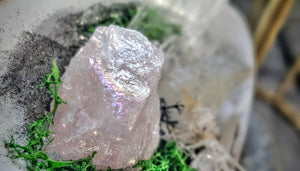 Angel Aura Quart Selenite Crystal & Artificial Moss in Seashell