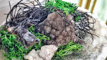 Load image into Gallery viewer, Smokey Amethyst, Quartz, Selenite Seashell
