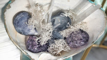 Load image into Gallery viewer, Crackle Quartz Selenite Artificial Moss in Seashell

