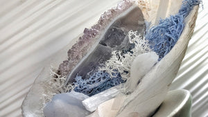 Amethyst, Quartz, Selenite & Blue Lace Agate Seashell