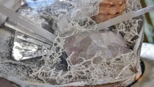 Load image into Gallery viewer, Angel Aura Quart Selenite Crystal &amp; Artificial Moss in Seashell
