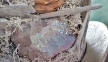 Load image into Gallery viewer, Angel Aura Quart Selenite Crystal &amp; Artificial Moss in Seashell
