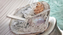 Load image into Gallery viewer, Angel Aura Quart Selenite Crystal &amp; Artificial Moss in Seashell
