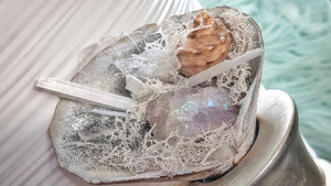 Angel Aura Quart Selenite Crystal & Artificial Moss in Seashell