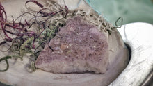 Load image into Gallery viewer, Amethyst Crystal &amp; Artificial Moss in Seashell
