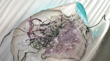Load image into Gallery viewer, Amethyst Crystal &amp; Artificial Moss in Seashell
