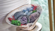 Load image into Gallery viewer, Amethyst Crystal &amp; Artificial Moss in Seashell
