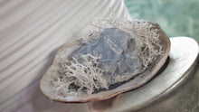 Load image into Gallery viewer, Celestite Crystal &amp; Artificial Moss in Seashell
