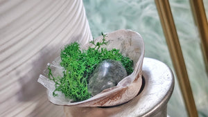 Crackle Quartz & Artificial Moss in "Merb" Seashell