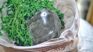 Crackle Quartz & Artificial Moss in "Merb" Seashell