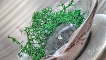 Load image into Gallery viewer, Crackle Quartz &amp; Artificial Moss in &quot;Merb&quot; Seashell
